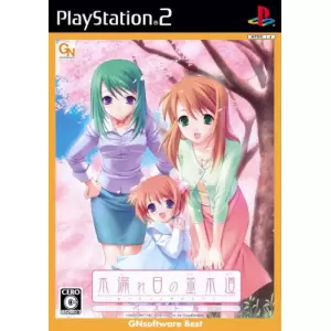 木漏れ日の並木道 ～移り変わる季節の中で～