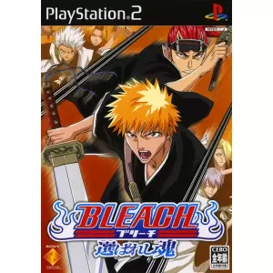 BLEACH ～選ばれし魂～