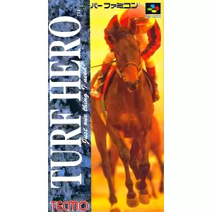 ターフヒーロー